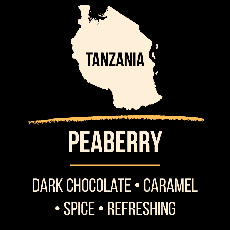 Tanzania Peaberry