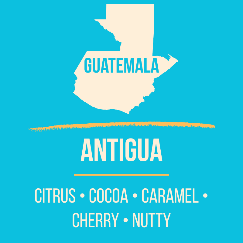 Guatemalan Antigua